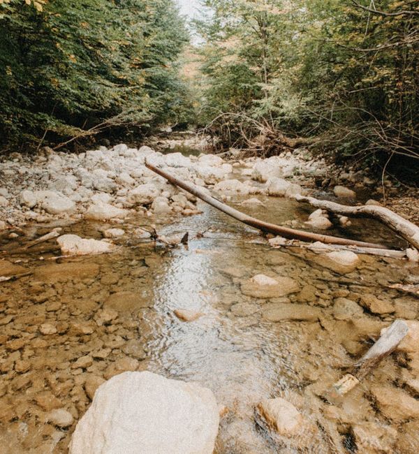 A serene outdoor scene with stepping stones over calm water.